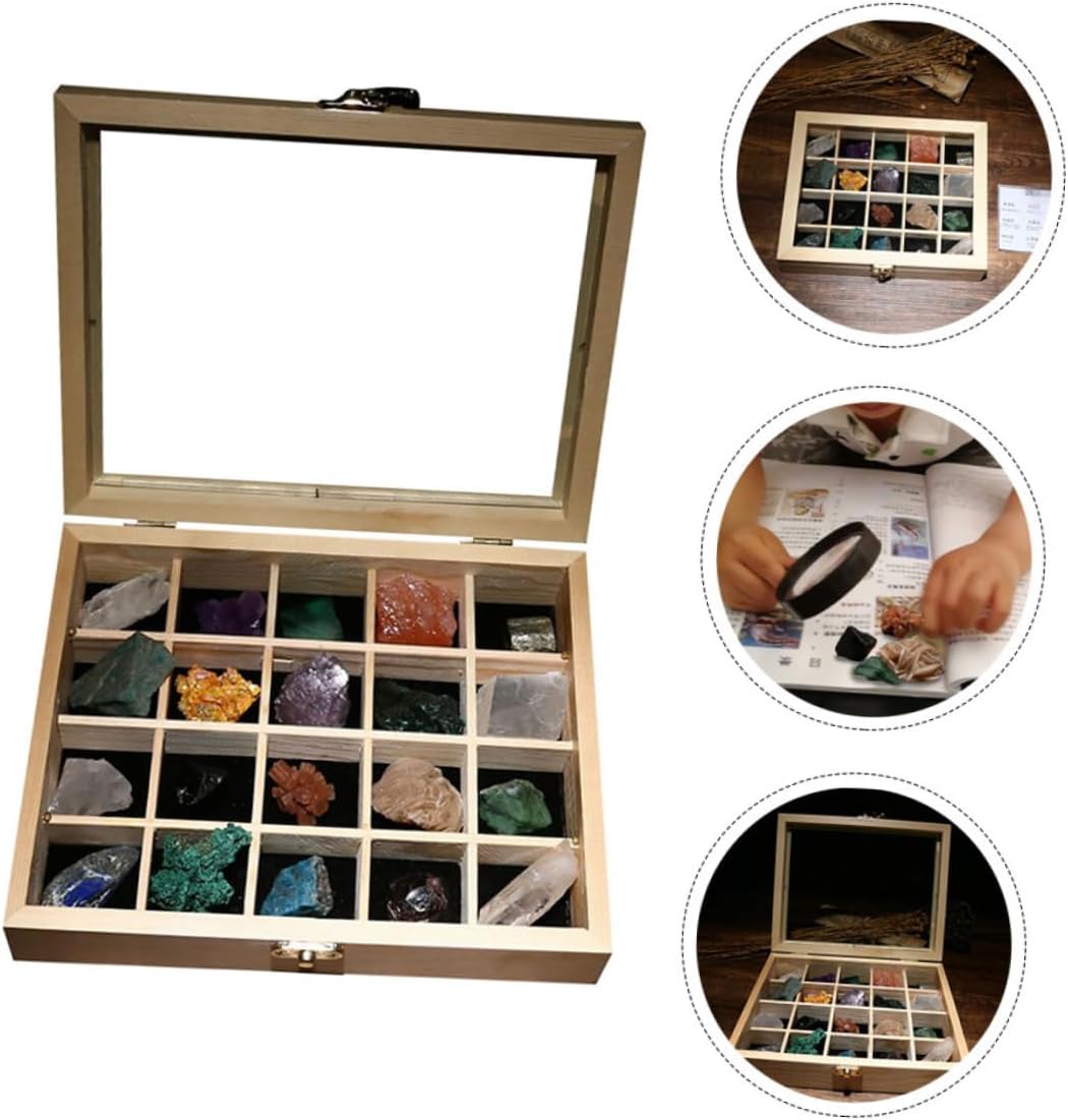 NOLITOY 20pcs Mineral Specimen Box Natural Stones Crystals Ore Samples Rocks and Gems Collection for Boys and Supplies Educational