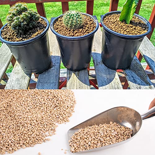 Image of 7lb Maifanitum Stones for Succulent Cactus Bonsai Decorative Rocks-Indoor Plants Soil Covers,Horticultural Gravel, Potting Pebbles for Terrarium, Fairy Gardening, Top Dressing
