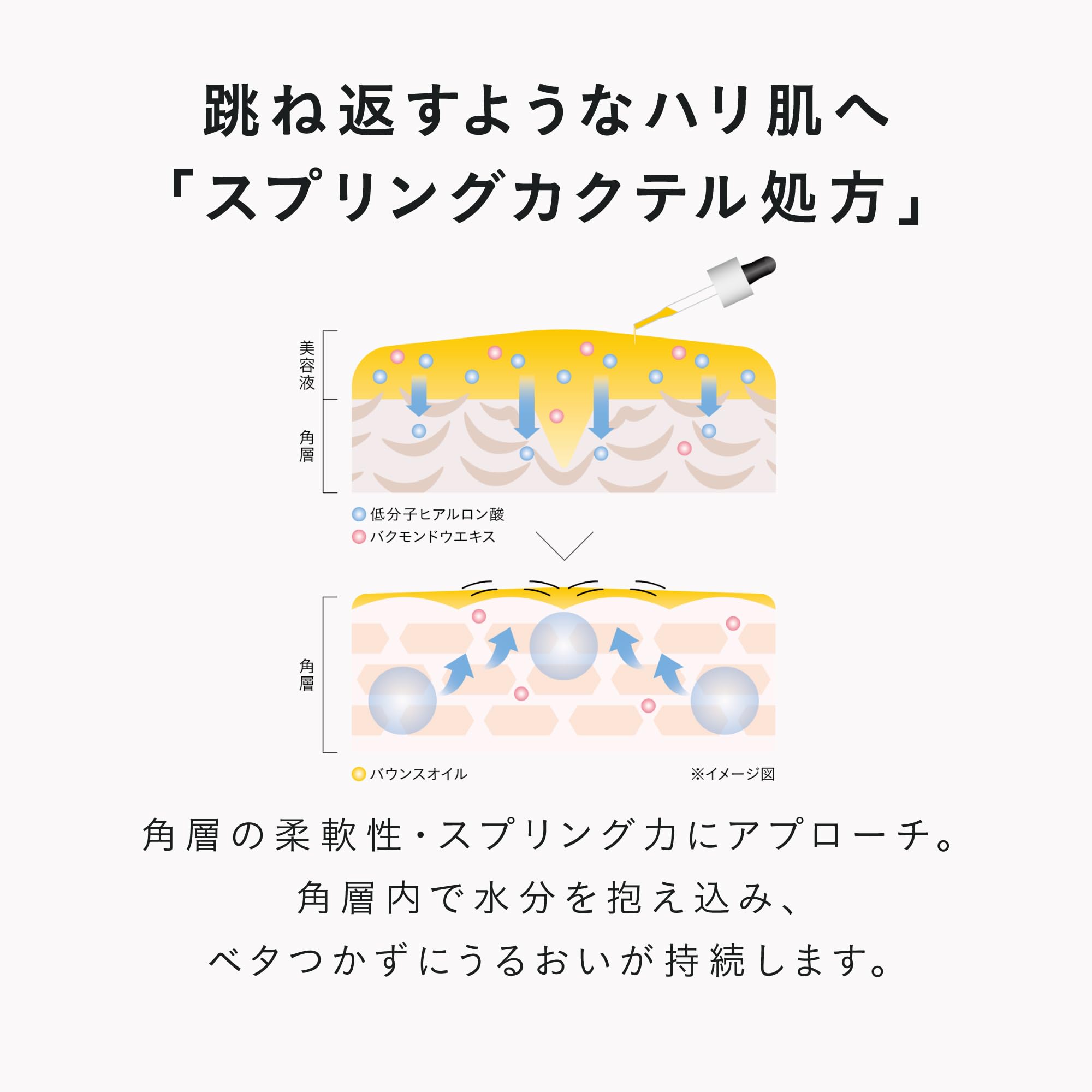 美容液 DECENCIA WRINKLE OIL CONCENTRATE 30ml Amazon.co.jp: DECENCIA Ayanus, Wrinkle O/L, Concentrate, 1.0