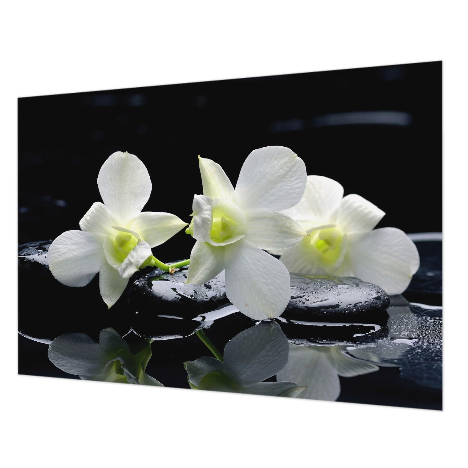 Papier peint impression haute qualité Tulup décor fleurs pierres 208x146
