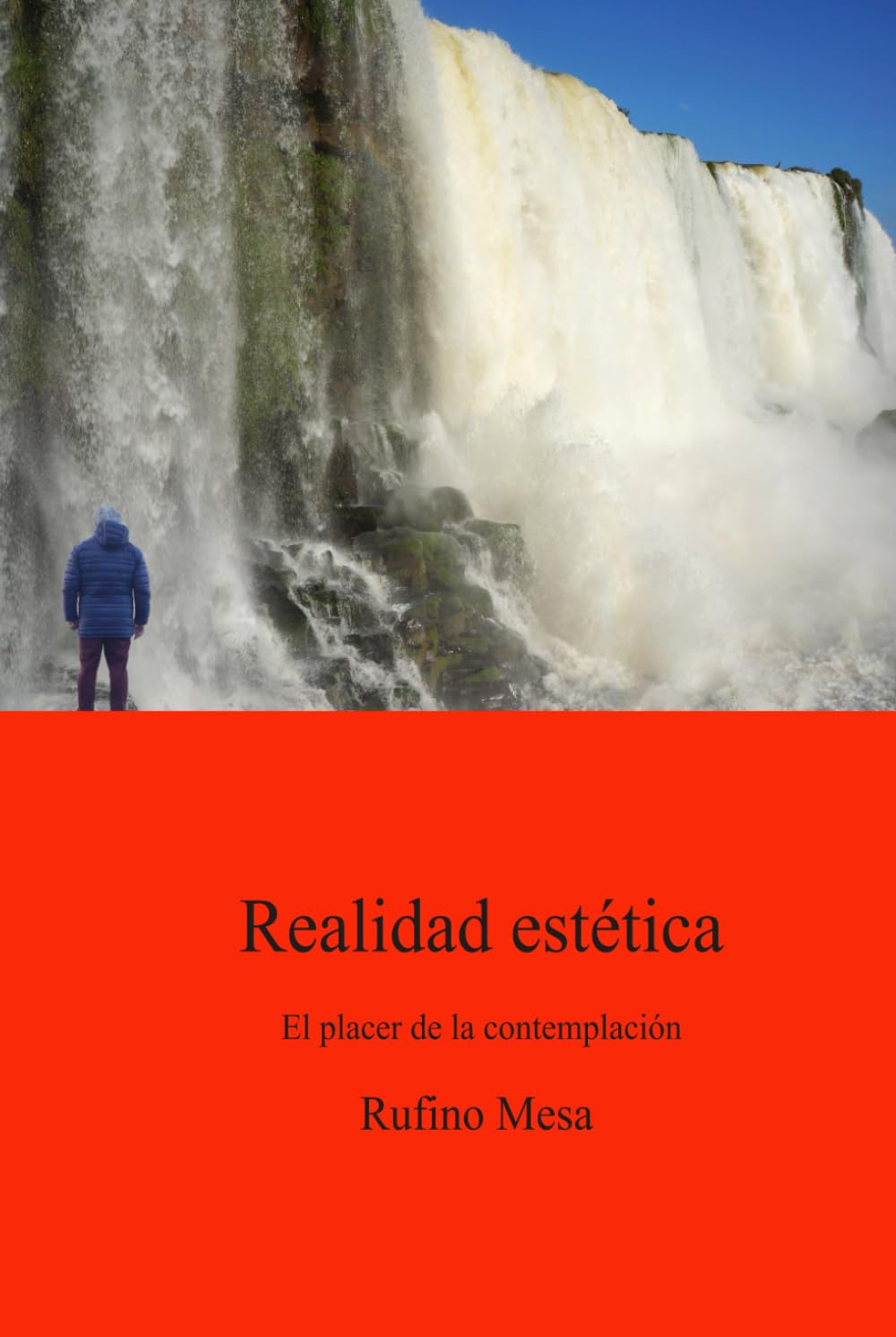 Realidad estética: El placer de la contemplación (La escultura como proceso)