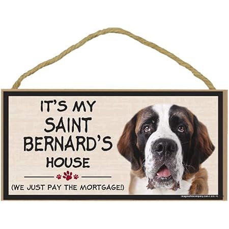 st bernard items