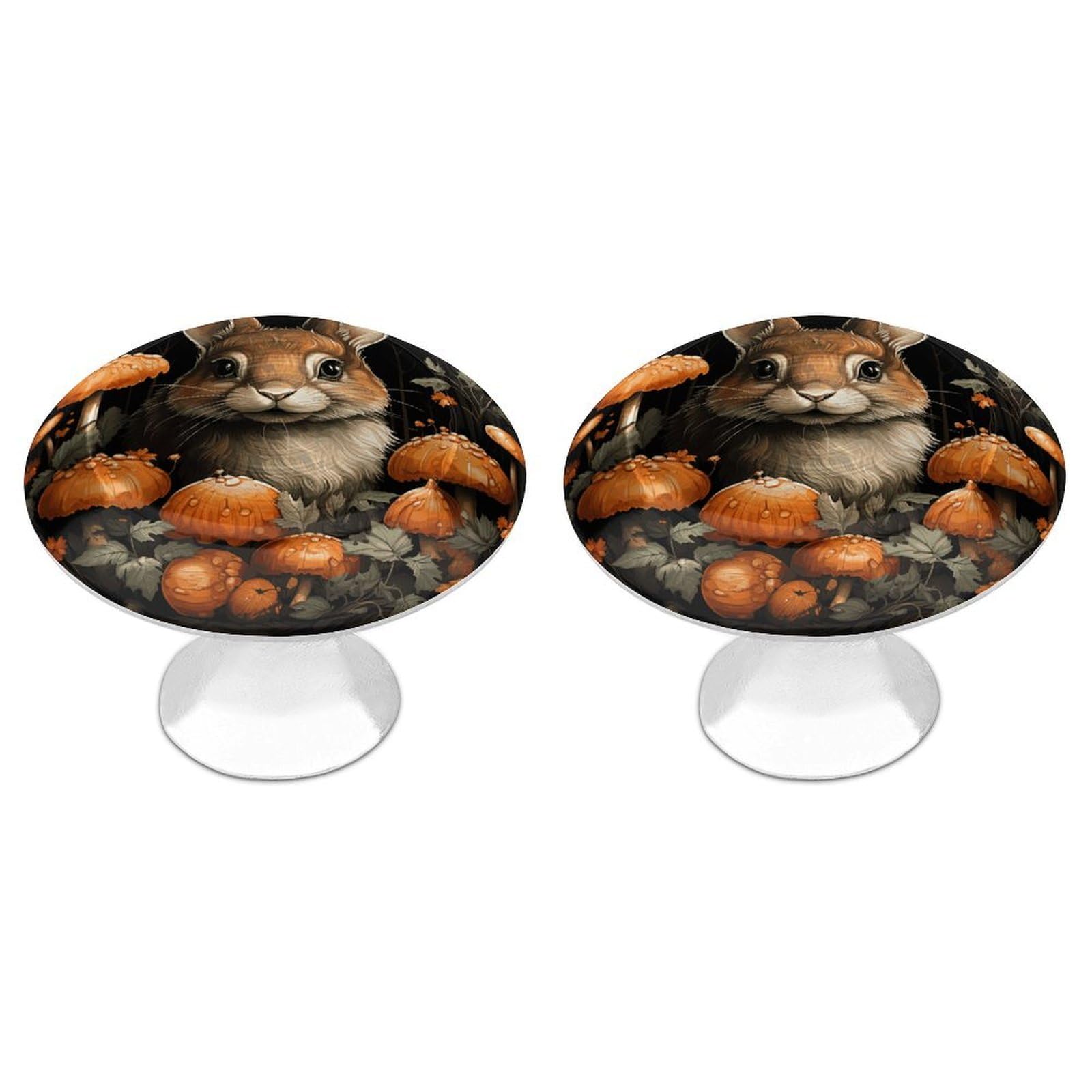 FekiLoot Rabbit with Mushrooms Cabinet Knobs 2 Pack Stainless Steel Round Dresser Drawer Knobs Kitchen Drawer Hardware Dresser Knob Closet Door Pulls Cabinet Handles for Cupboard Drawer Pulls