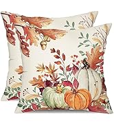 DFXSZ Fall Pillow Covers 18x18 inch Set of 2 Orange White Pumpkin Fallen Leaves Decorative Outdoo...