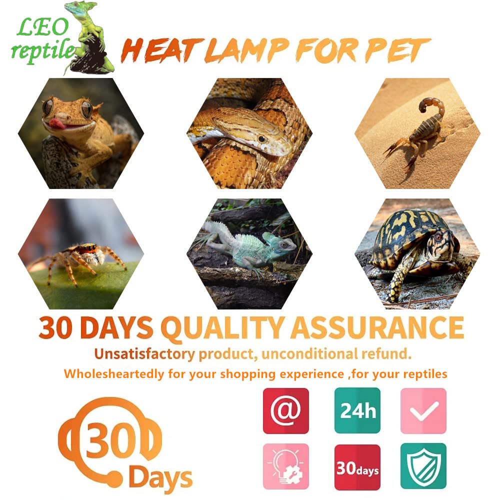 Leoterra 75W Red Infrared Night Heat Lamp Fits 20-40 Gallon Tank (2 Pack)- Thickened Glass 2000+ Hours Long Life for Bearded Dragon,Ball Pythons, Snake, Turtle, E26 110V - image 8