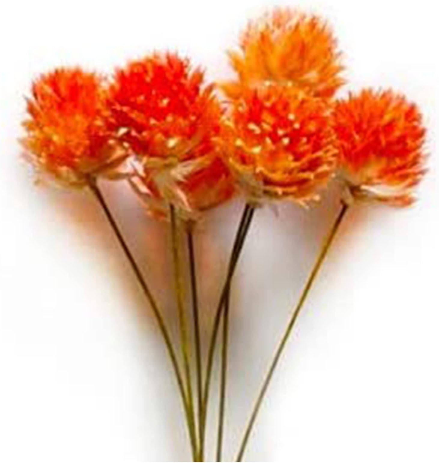 Wall-Mounted Flower Tube for Flower Display, Wall Metal Vase Decoration Holder(Adhesive Material Included) (Gold)