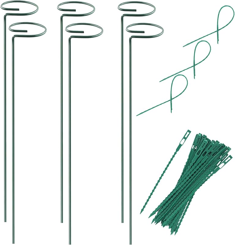 Plant Stake Support - 6 Pack, Garden Single Stem Support Stake 15.9 inch | Plant Cage Support Rings, Single Stem Plant Support Stakes, Plant Twist Ties, for Flowers Amaryllis Tomatoes Peony Lily Rose