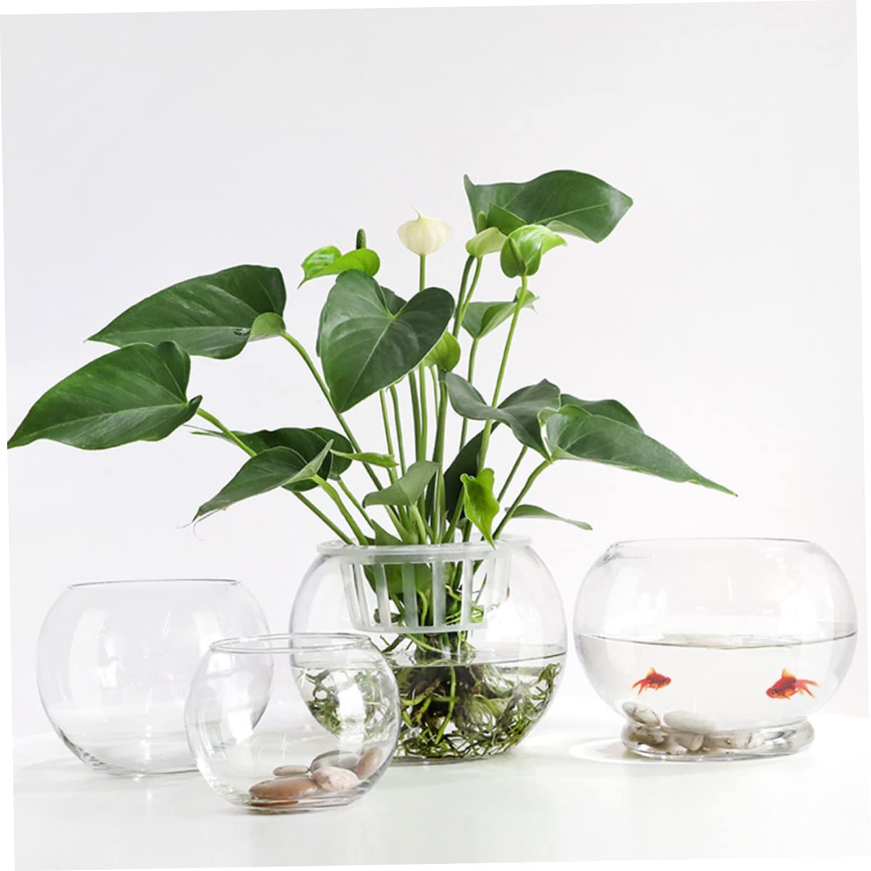Runde Kunststoff-Fischschale – Transparent, 2,5 Liter, Für Fische, Sukkulenten Oder Deko