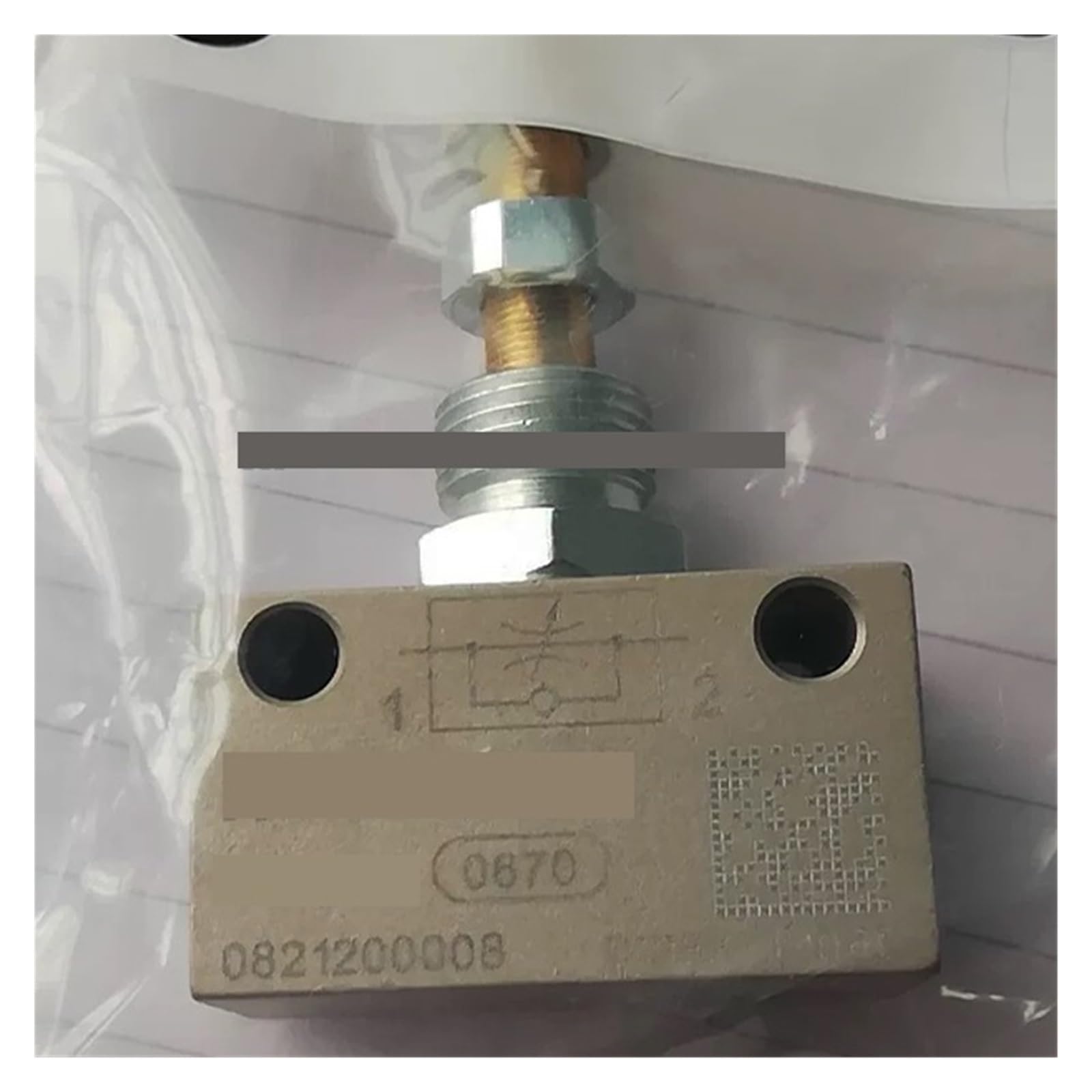 ZVQYSGIW 0821200008 G1/8 Screw Thread Check Valve