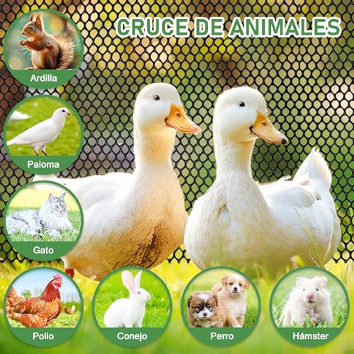 Opiniones y reviews de Plastico verde , tabla con los diez mejores. 27 Imagen adicional