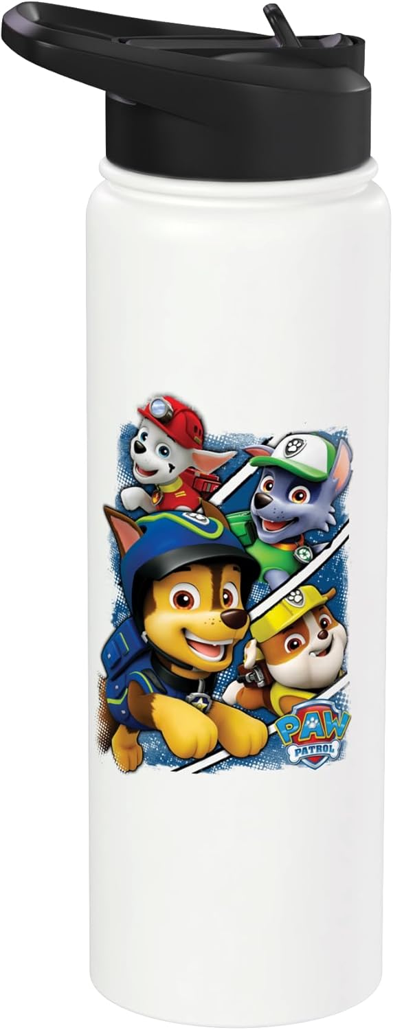 PAW Patrol Group Shot Stainless Steel Insulated Water Bottle