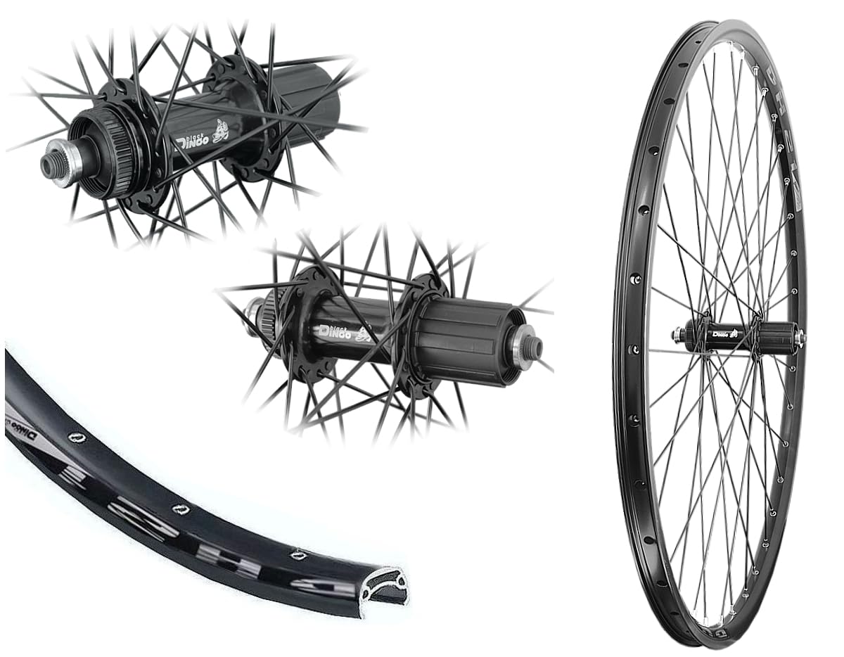 Bärwinkels Hinterrad 26" Disc MTB 8/9/10 Fach Hohlkammer 21-559 Centerlock Scheibenbremse Industrielager schwarz
