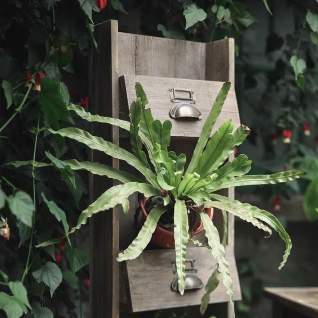 Tiered Plant Stand Indoor Courtyard Balcony Four-grid Wooden Wall Flower Stand Garden Decoration Gardening Tool Storage Rack Outdoor Plant Stands For Patio