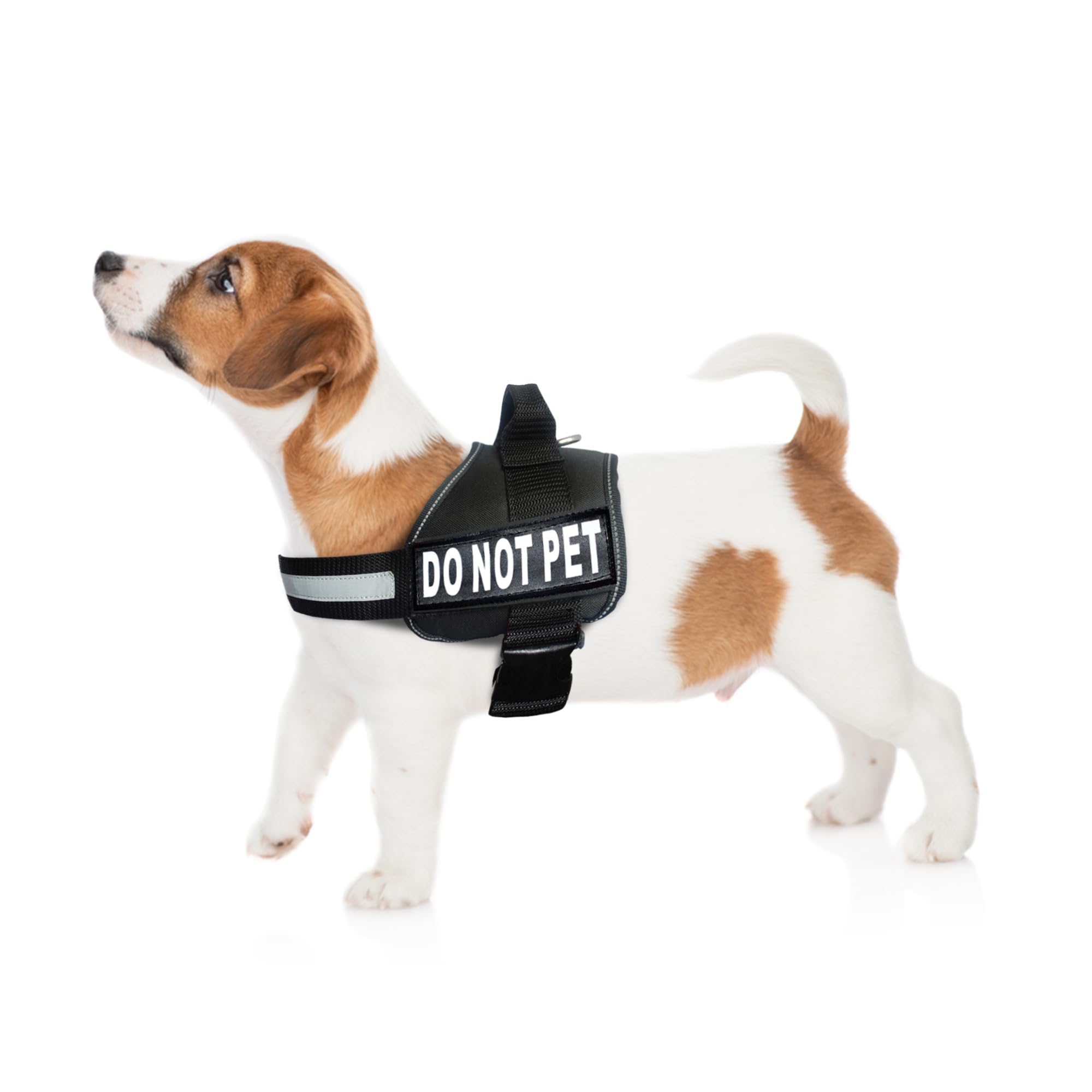 Doggie Stylz Dog Harness with DO NOT PET Patches – No Pull Service Dog Vest and Service Animal Vest for Dogs – Adjustable Gentle Leader for Dogs –