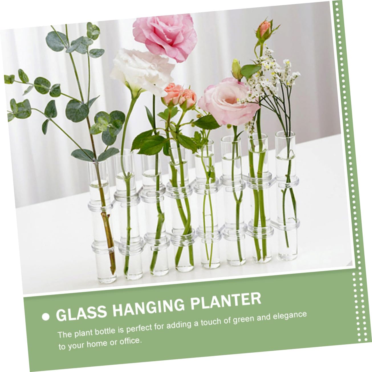 Vase Verre Transparent pour Propagation Hydroponique Grand Format avec Support Robuste Contenant Décoratif pour Plantes Intérieur et Terrarium de Bureau Brosse de Nettoyage