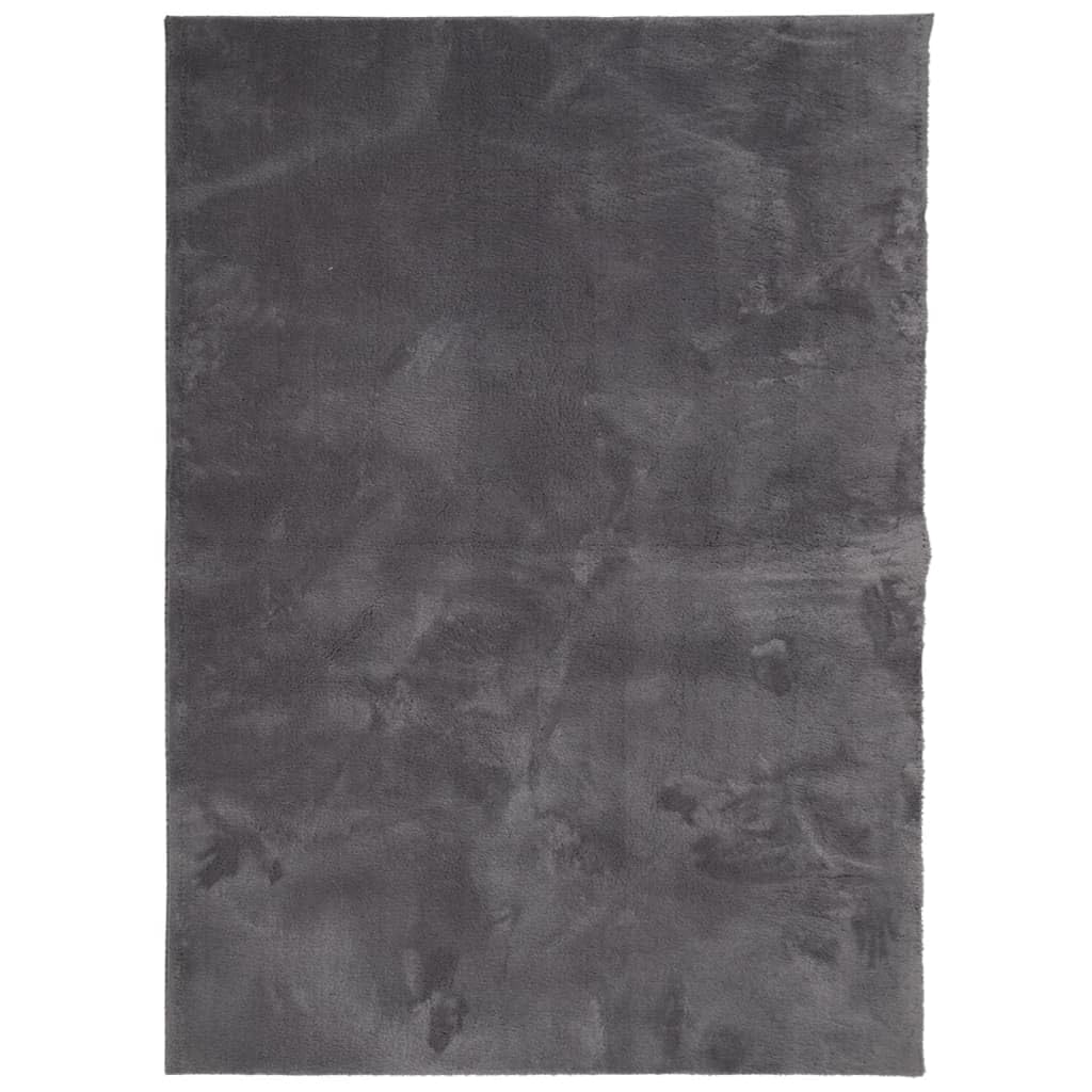 Tapis anthracite HUARTE 200 x 280 cm lavable et antidérapant pour le salon
