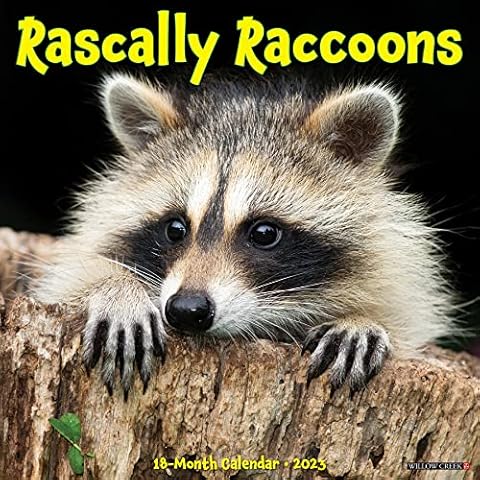 Rascally Raccoons 2023 Wall Calendar Cover