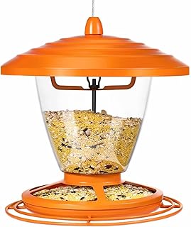 Amazon Com Blue Jay Feeder