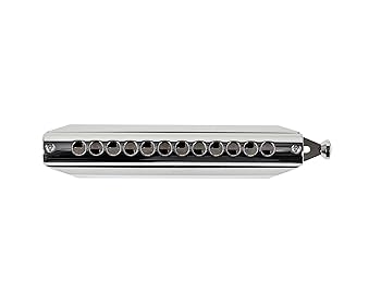 Amazon.com: Suzuki SCX-48 Chromatix Series Harmonica C 12