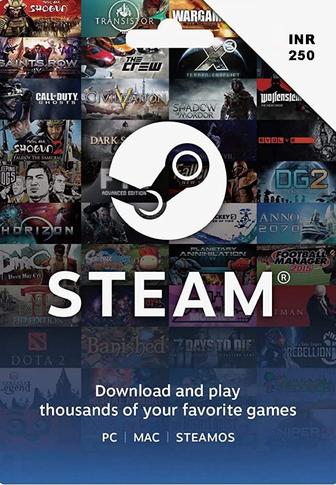 INR 250 Steam Wallet Code (Code Only - Smart Delivery) [video game]-image-28
