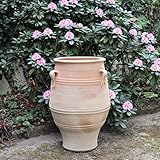 Palatina-Keramik | große Terracotta Amphore aus Kreta | 70 cm | winterfestes Pflanzgefäß Pflanzkübel | mediterrane Deko für Garten, Balkon und Terrasse, Thymus 2