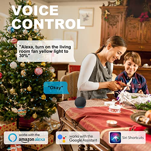 Smaair Smart Wifi Led Ceiling Fan, 52Inch Plywood Outdoor Smart Ceiling Fan With Remote, App Control With Timer And Schedule, Compatible With Alexa/Google Assistant/Siri Shortcuts (Black/Walnut) #TOP2