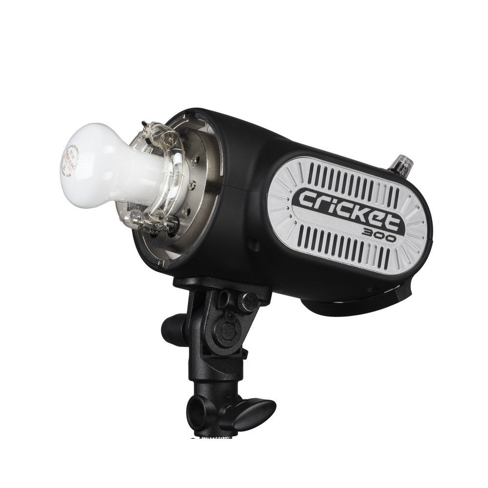 Flash Fomex Cricket - Flash monoblocco compatto, 300 W