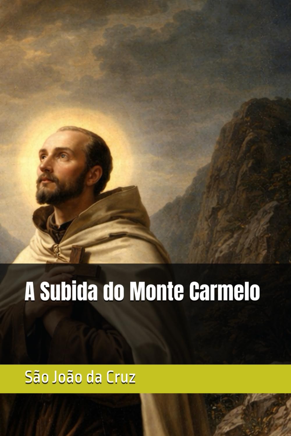 A Subida do Monte Carmelo (Clássicos dos Doutores da Igreja)