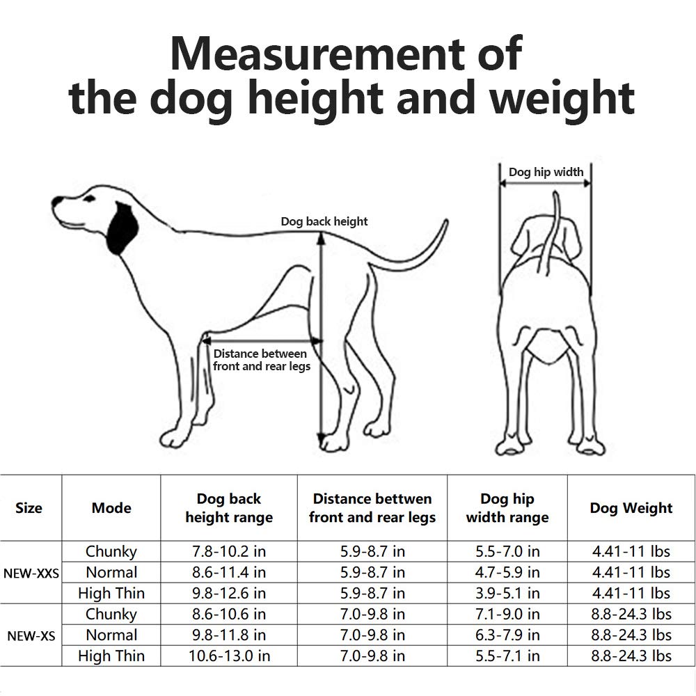 Surpcos Adjustable Dog Pet Wheelchair Front Hind Legs Rehabilitation 2 Wheels 4 Wheels Dog Cart Wheels Xxs Chunky Height 8 10 Width 5 5 7 0 Blue Buy Online At Best Price In Uae Amazon Ae