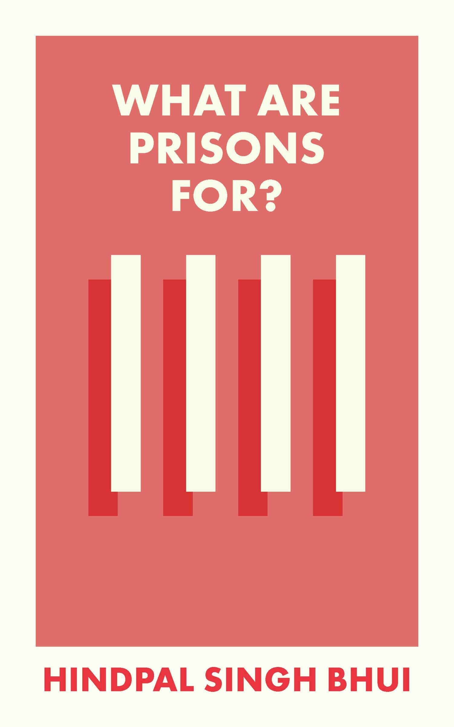 What Are Prisons For?: Themes and perspectives for policy and practice (What Is It For?)