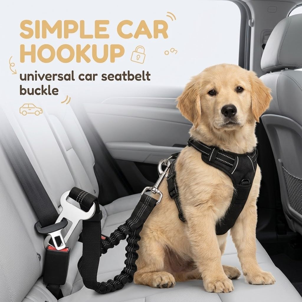 Cintura di Sicurezza per Cani in Auto, Cintura Regolabile Elastica Antishock con Moschettone Robusto, per Cani e Gatti, Nero