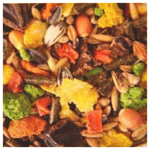 Hoppel-Mobbel 5 kg Nagerfutter mit Vitamin C für Meerschweinchen und Hamster, Geschmacklos, Erwachsene, Nager, Unisex, Haustierbesitzer, Nagerhalter, 5 kg