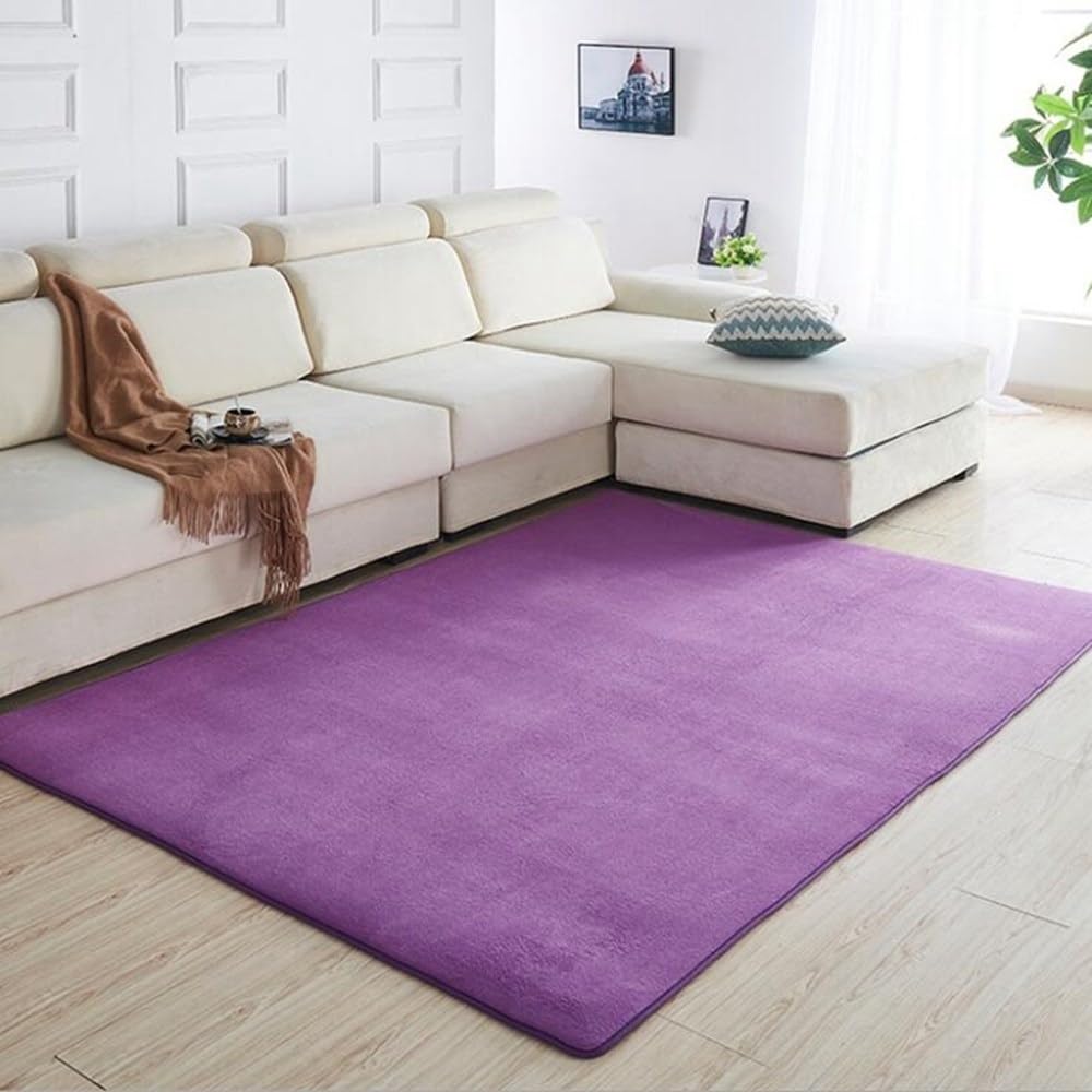 Tapis en polaire corail de salon moderne violet 80x160cm chambre
