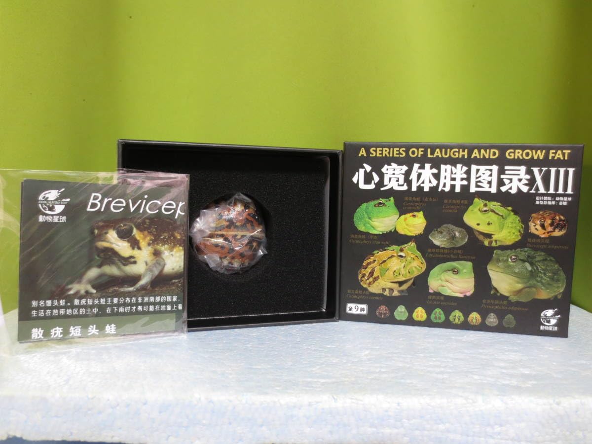 新品　動物の惑星 アニマルプラネット　イエアメガエル　正規品 Amazon.co.jp: 限定品 動物の惑星 アニマルプラネット 爬虫類