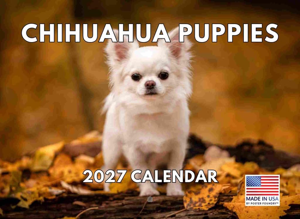 Chihuahua Puppies Calendar 2027 Monthly Wall Calender 12 Month โ image 1