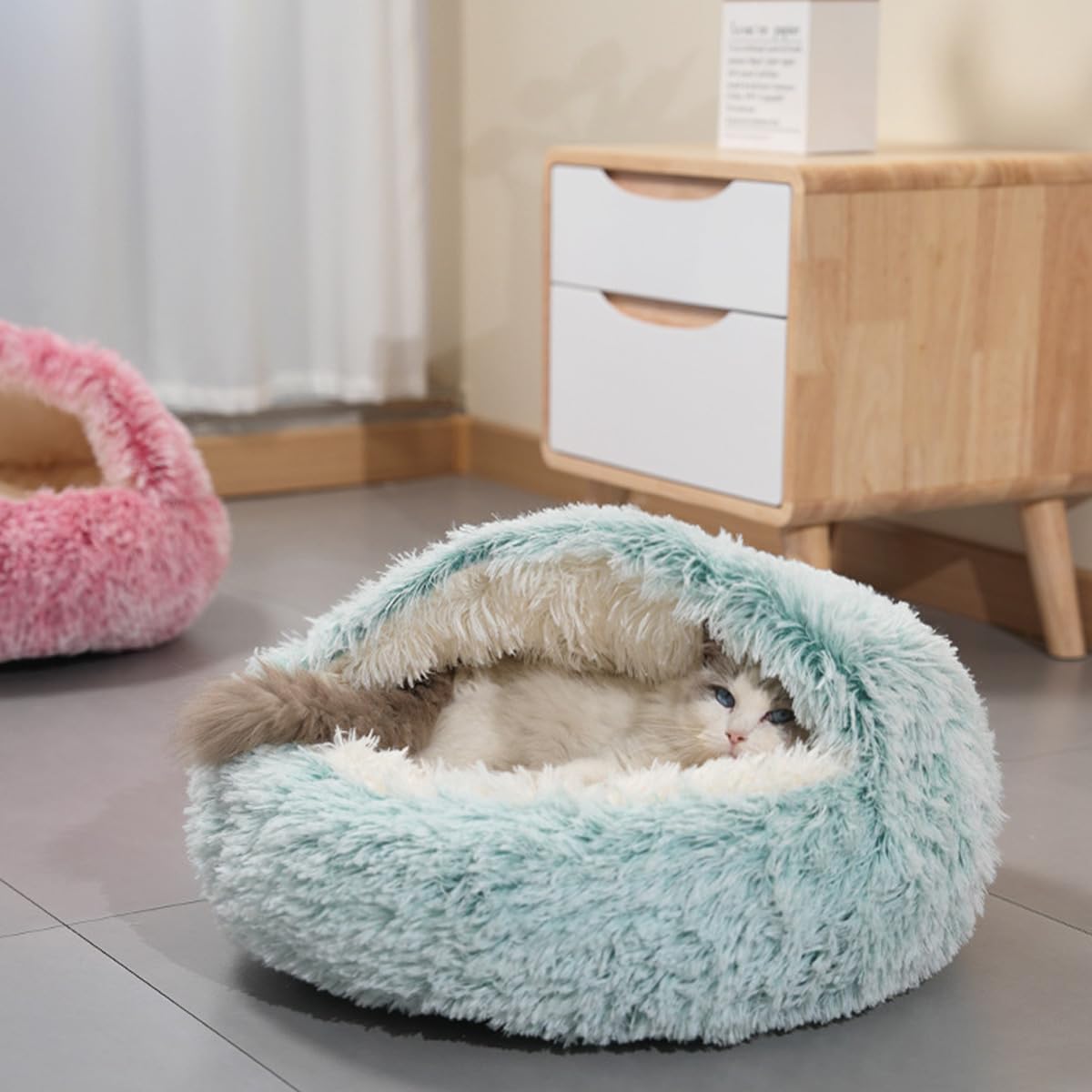 Niche igloo pour chat et animal domestique – Tente pliable en peluche avec fond antidérapant – Semi-fermé – Niche moelleuse pour petits chats, chatons, chiots et chats (vert, 80 cm)