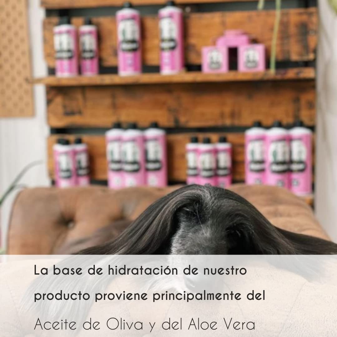 PETUXE Mascarilla Hidratante para Perros y Gatos | Revitaliza, Repara y Desenreda el Pelaje Largo | Brillo y Suavidad con Aloe Vera y Extracto de Olivo | Vegano | 1 L