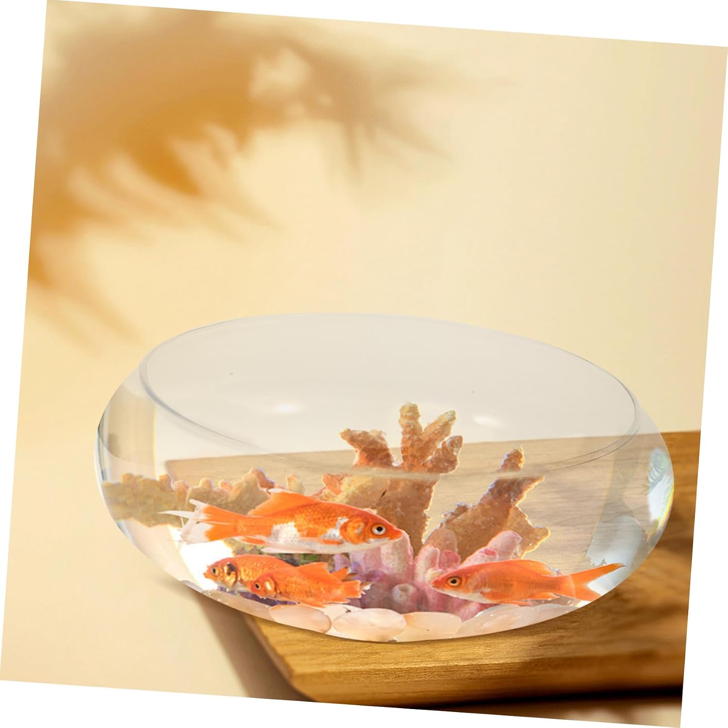 Clear Glass Fish Bowl Small Desktop Fish Tank and Hydroponic Plant Pot for Home Office Garden Decoration Space Saver for Goldfish Shrimp Flowers and Succulents
