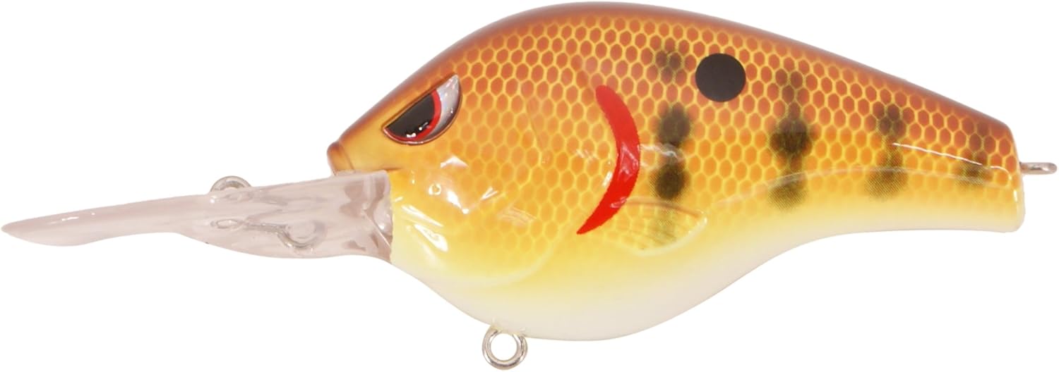 Spro fat papa 55 Clearance