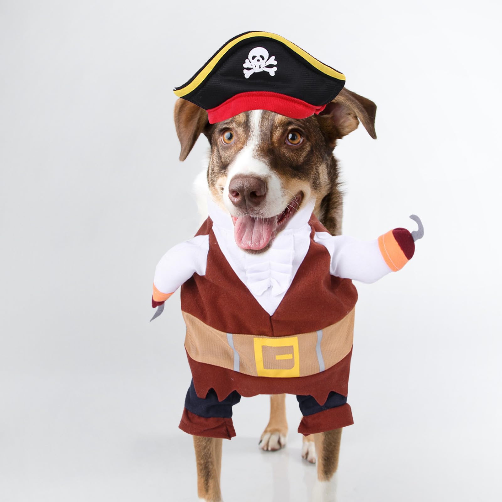 4 Set Costume Pirata per Cani e Gatti, Cotone Xl, Halloween