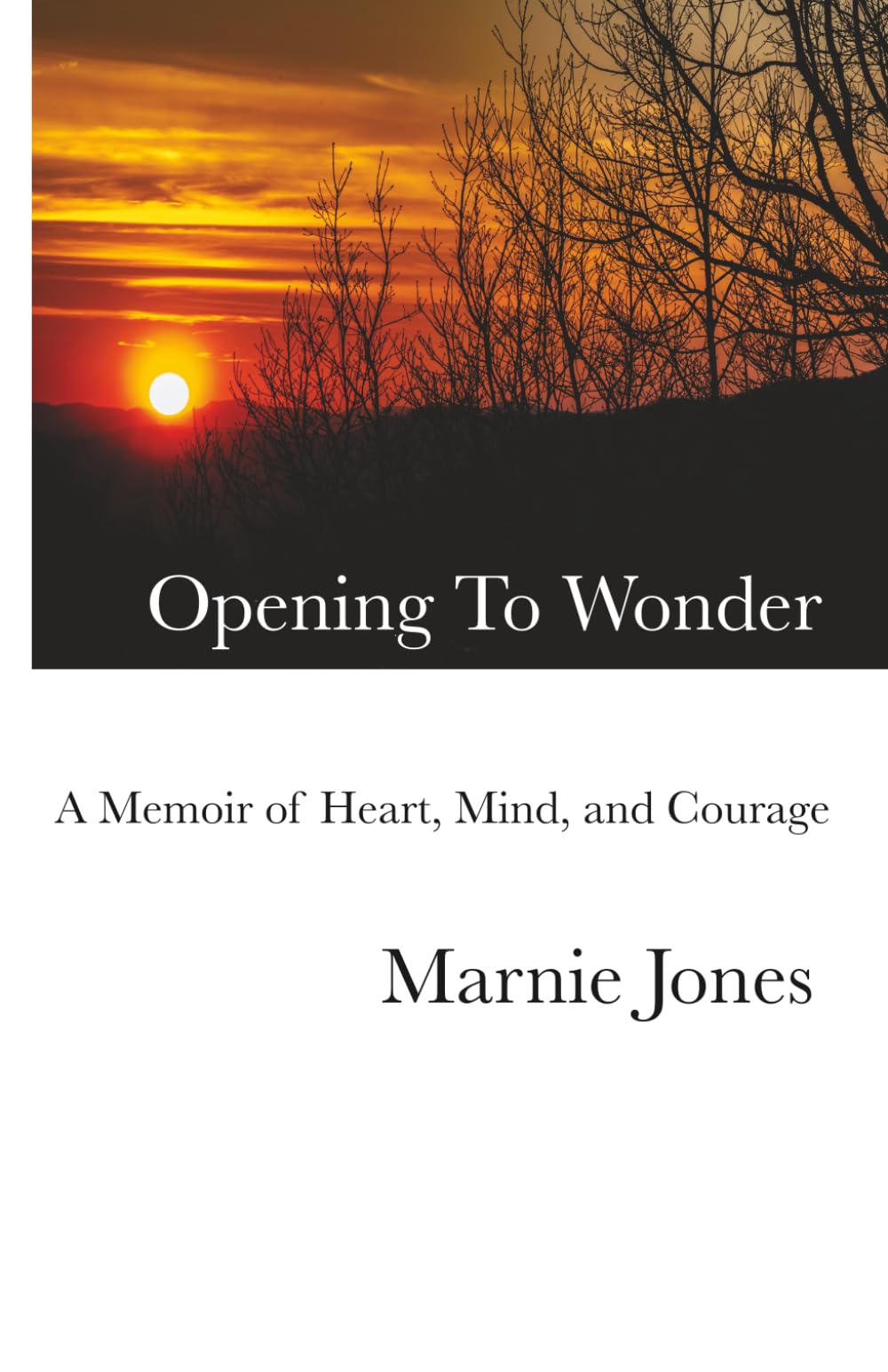 Opening to Wonder: A Memoir of Heart, Mind, and Courage