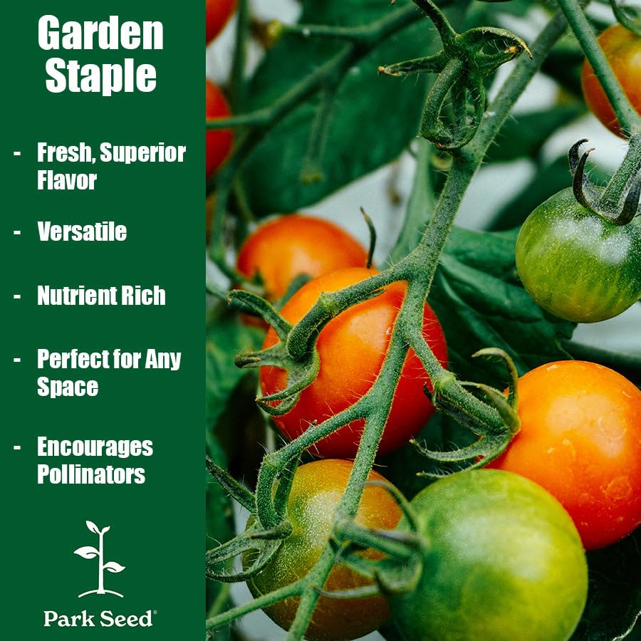 Amazon.com : Park Seed Cherry Tomato Seeds, Planting Vegetables