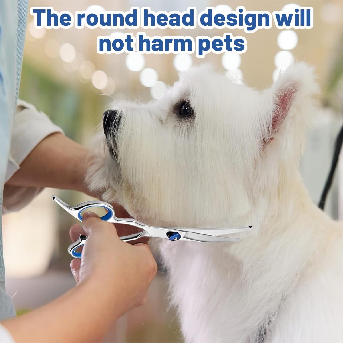 3Pcs Dog Grooming Scissors, Dog Hair Cutting Scissors,Professional Pet Hair Cutting Tools,Ideal for Home Grooming 2