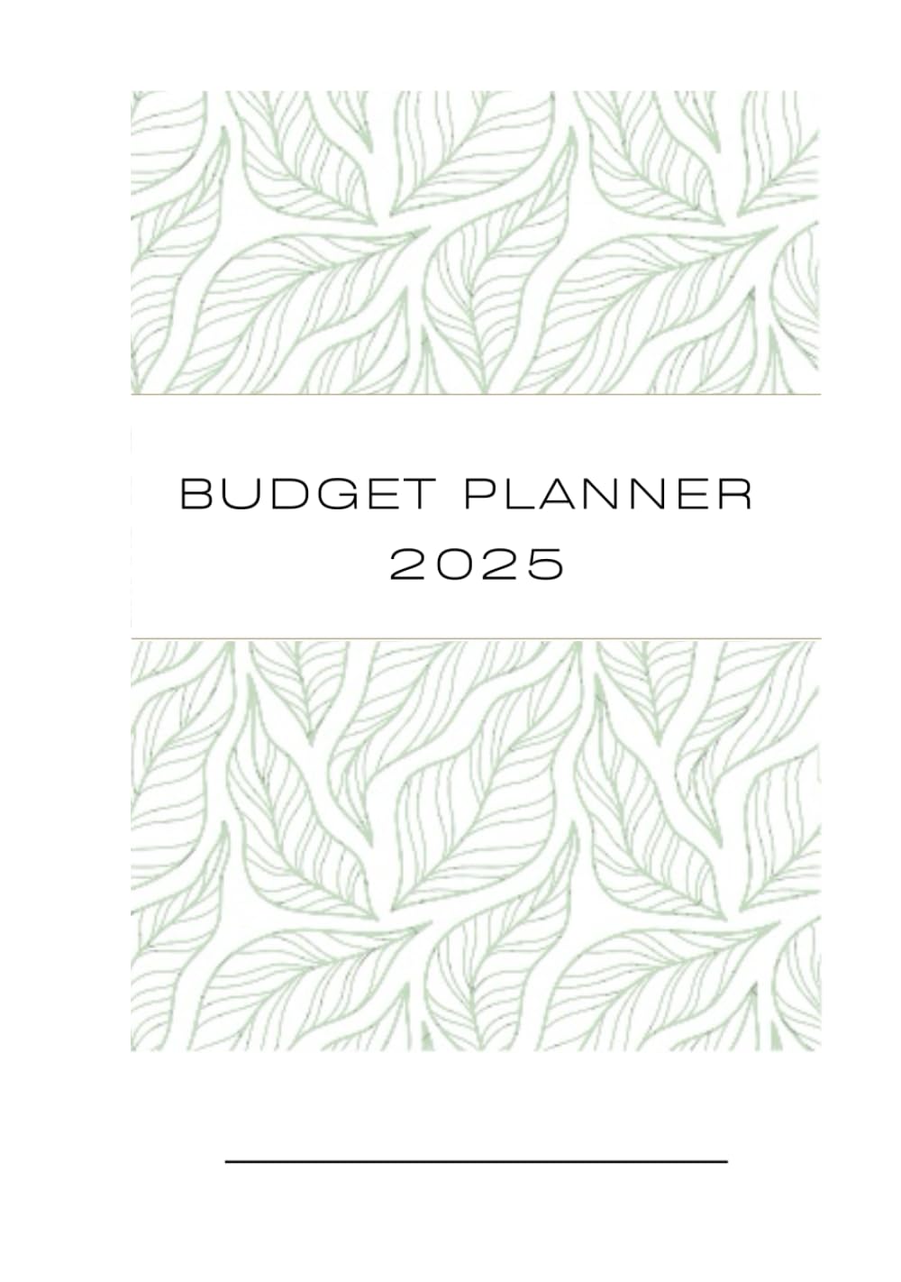 2025 BUDGET PLANNER from Jan 2025 Dec 2025 Monthly Expense and Bill