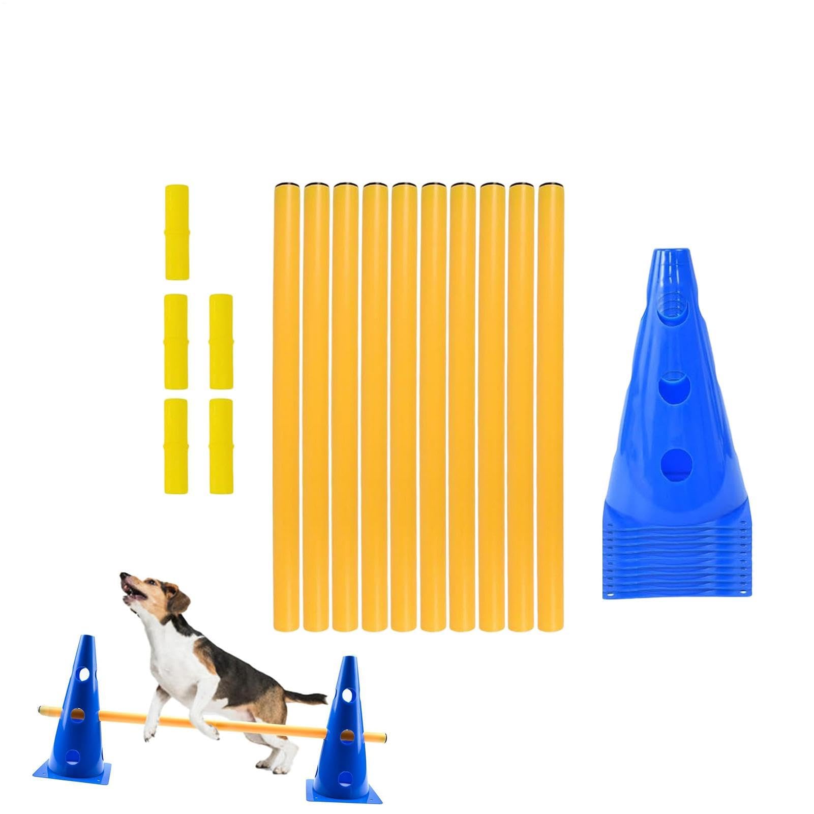 Parcours d'obstacles pour chiens extérieur pour s'amuser au parc, à la maison et à l'aire de jeu