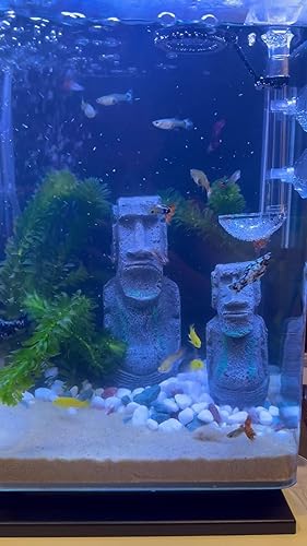 Amazon | テトラ (Tetra) ガラス リビングキューブ 20