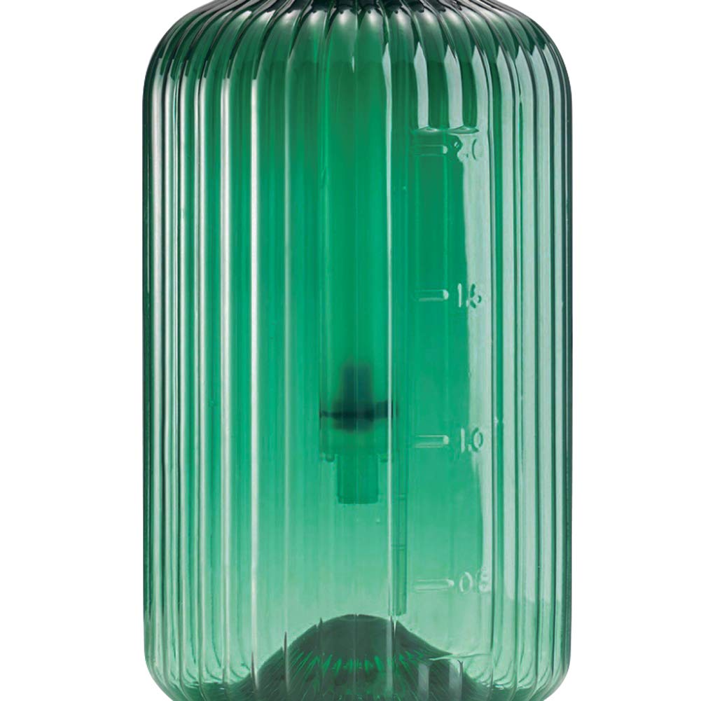 IBLUELOVER 2L Vaporisateur Plante Vide Arrosoir Plante Interieur Pulverisateur de Jardin de Pompe en Plastique Vaporisateur d'eau Bouteille pour Plantes Fleurs Cuisine Nettoyer Outils de Jardinage