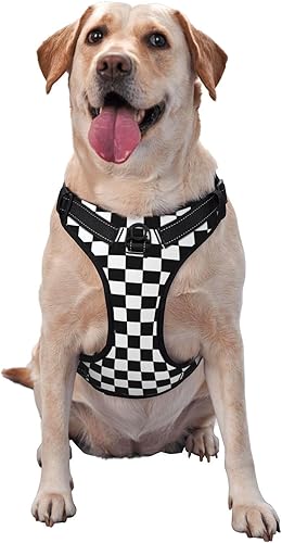 Miniatura 7 de Arnés de perro sin tirones, suave y personalizado para añadir tus fotos, chaleco arnés con nombre de mascota, número de teléfono para perros