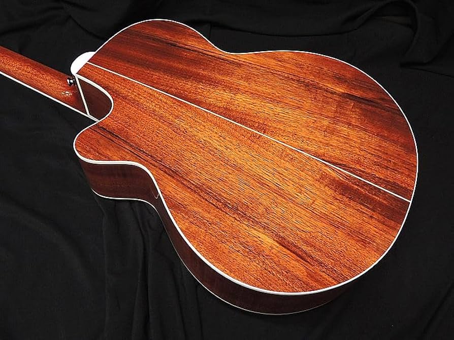 Amazon | Takamine PTU131KC N KOA タカミネ アコースティック