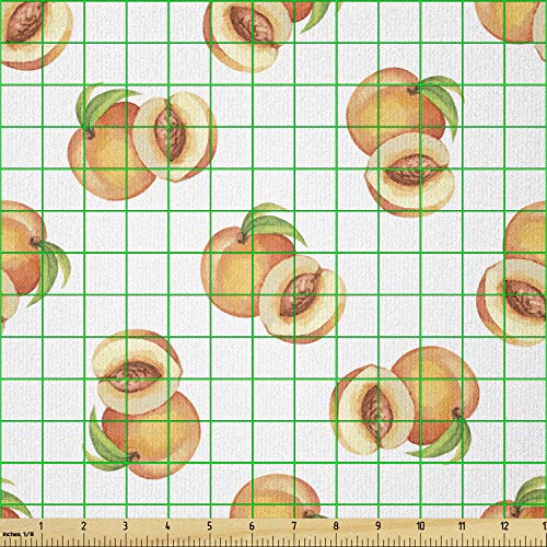 Image of Ambesonne Peach Fabric by The Yard, Vegetative Growth Botany Pattern Orange Drupes Freshly Picked from The Trees, Stretch Knit Fabric for Clothing Sewing and Arts Crafts, 1 Yard, Pale Orange Green